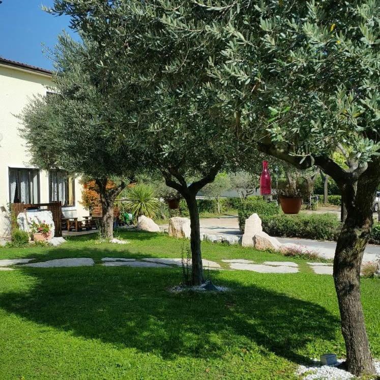 Alla Favorita Bassano del Grappa Exterior photo